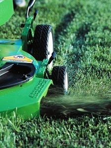 Покос травы и кустарников в Гродно и Области, валка леса и раскрыжовка #1109317