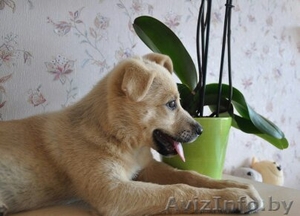 Малышка-очаровашка в дар #1134191