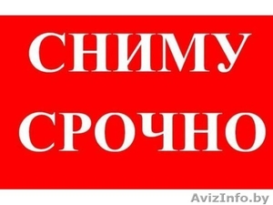 Молодая добропорядочная семья  без вредных привычек снимет квартиру. #1127034