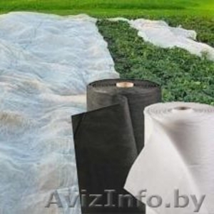 Спанбонд (агроволокно,  агроспанбонд) #1134598