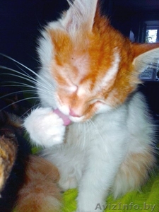 Маленькая,  Не наглая 