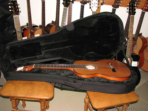 Кейс для гитары  Cort GL-Classic #1130493