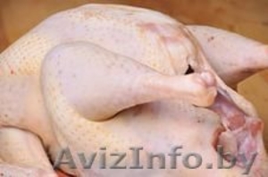 Продам домашнее мясо индейки #1135047