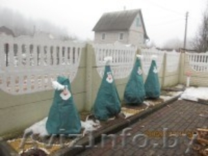 Укрытие на зиму для туй 110х90 зеленое с рисунком #1147881