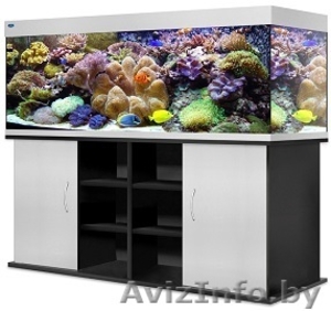 Аквариум Биодизайн #1147522