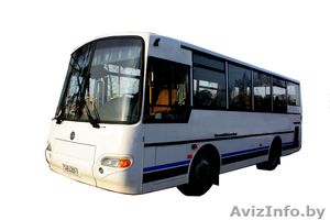 пассажирские перевозки брест #1147941