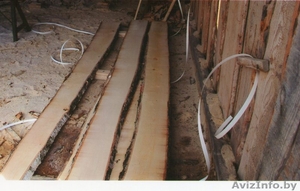 Закупаем не обрезную доску из березы #1140828