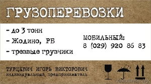 ГРУЗОПЕРЕВОЗКИ ЖОДИНО,  Борисов,  Смолевичи,  по городу и РБ,   ГРУЗЧИКИ. #857610