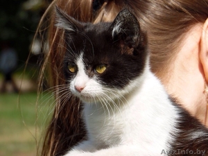 НЕОБЫЧНАЯ МАЛЫШКА В ДАР! #1144598