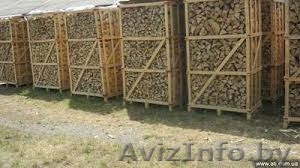 ЗАГОТОВКА РЕАЛИЗАЦИЯ ДРОВ #1152145