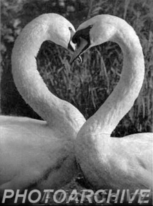 Частный архив мировой документальной и художественной фотогафии.«Советское ФОТО» #1145829