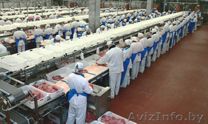 Работа в Польше,  мясокомбинат,  также погрузчики #979917