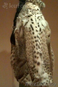 Красивая шуба из рыси #1152929