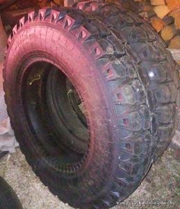 Продам две новые шины с камерами на Газ-53.  #1158851