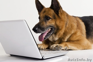 чистка и ремонт комп.техники #1164940