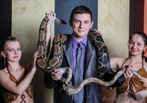 Фотоссейсии со змеями! Это прекрасный подарок для тех, кто хочет удивить гостей!! #1159307