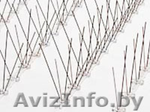 антиприсадочные шипы от птиц #1163418