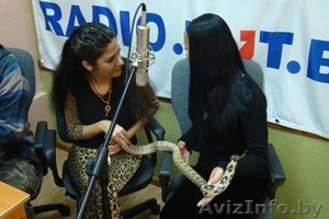 Шоу-Спектакль со змеями,  аналогов которому нету Золотые призеры международных ко #1159327