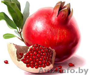 Гранат оптом из Ирана #1165442