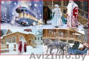 Новогодняя сказка в Беловежской пуще. Едем по Ж.Д. #1157292