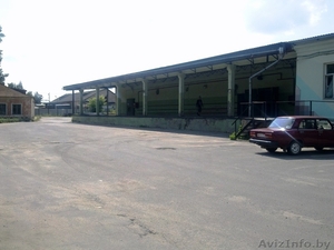 Аренда склада в Могилеве #1159277