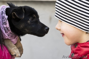 Фенечка на счастье! Щенок в добрые руки! #1175442