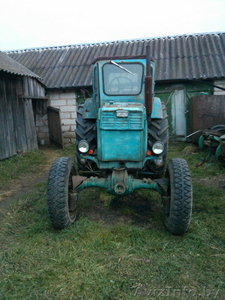 Трактор Т-40АМ с документами #1173987