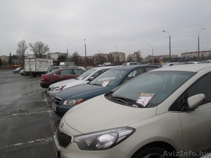 Распространение и размещение рекламы. #1198285