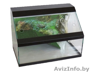 Террариумы для черепах,  пауков,  амфибий и других #1197521