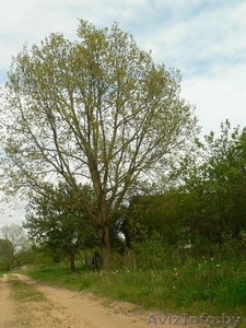 Дом в д. Суловы,  Ивановский р-н #1187889