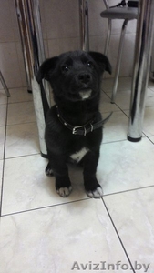 Бася - прелесть,  а не мужчина!!  #1189049