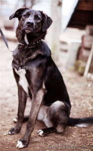 Джесси - настоящая леди!) #1210181