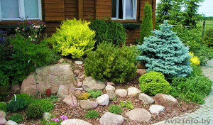  Питомник декоративных растений 