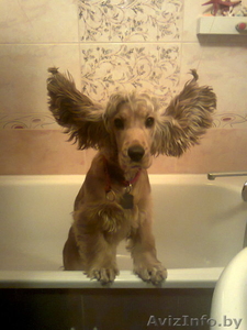 наливная ванна. минск и область #1201626