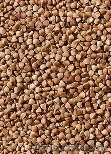 Закупаем постоянно гречку ядрица #1203097