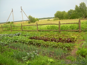 Продам семена овощных культур,  трав,  цветов оптом и в розницу #1211783