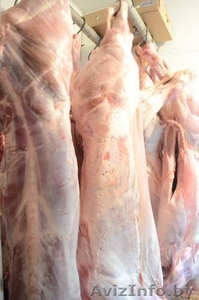 Все виды мяса.Туши,  полутуши. Охлажденка,  Заморозка #1204737