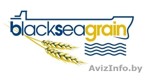 Международная конференция «Зерно Причерноморья – 2015. Будущее - сейчас» #1226170