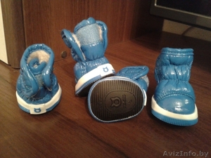 Ботиночки для собак #1213710