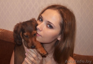 Продаются токсята #1222293