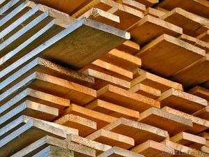 доска обрезная 20х100 ольха 4м3 #1242556