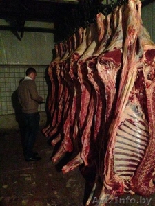 Говядина в полутушах,  блочка (односорт) собственного пр-ва #1233580