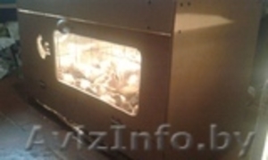 Перепела (яйцо и мясо) #1238520