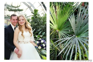 фото видео ведущая #1236484