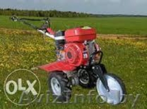 Продам мотоблок Shtenli 500 7 л.с. БЕСПЛАТНАЯ ДОСТАВКА ПО БЕЛАРУСИ #1237885