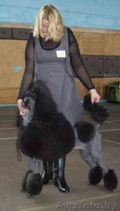 Стрижка на любой вкус #1233177