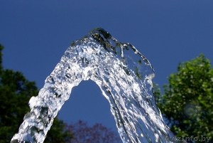 ИП Головач Дмитрий #1227542