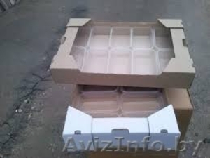 Ящики, лотки для овощей, ягоды, фрукты  #1247420