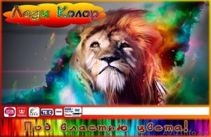 OOO Леди колор лакокрасочные и стройматериалы #1256297