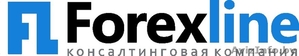 Предлагаем бизнес на условиях партнёрства. #1246609